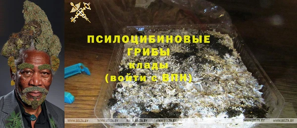 PSILOCYBIN Аркадак