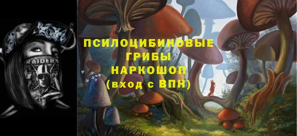 молекула духа Армянск