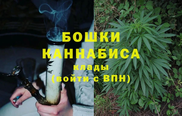PSILOCYBIN Аркадак