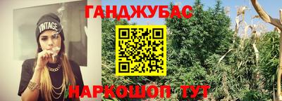 молекула духа Донецк