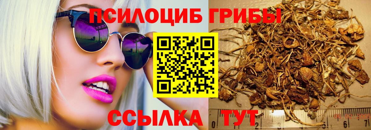 Галлюциногенные грибы MAGIC MUSHROOMS Нижний Новгород