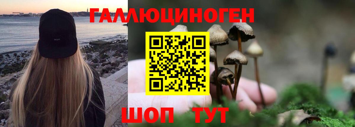 Псилоцибиновые грибы ЛСД  Вход с VPN  закладка  Нижний Новгород 